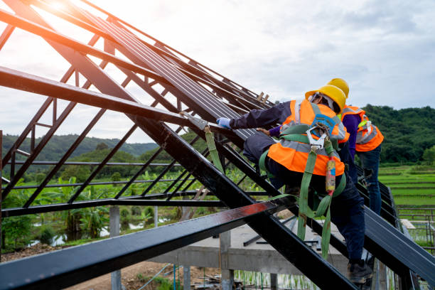 Best Emergency Roof Repair  in Auburn, KY