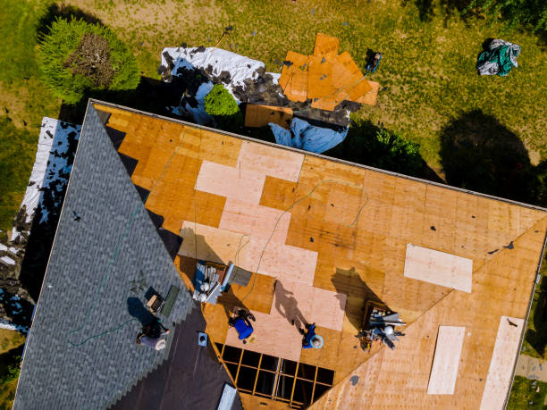 Best Storm Damage Roof Repair  in Auburn, KY